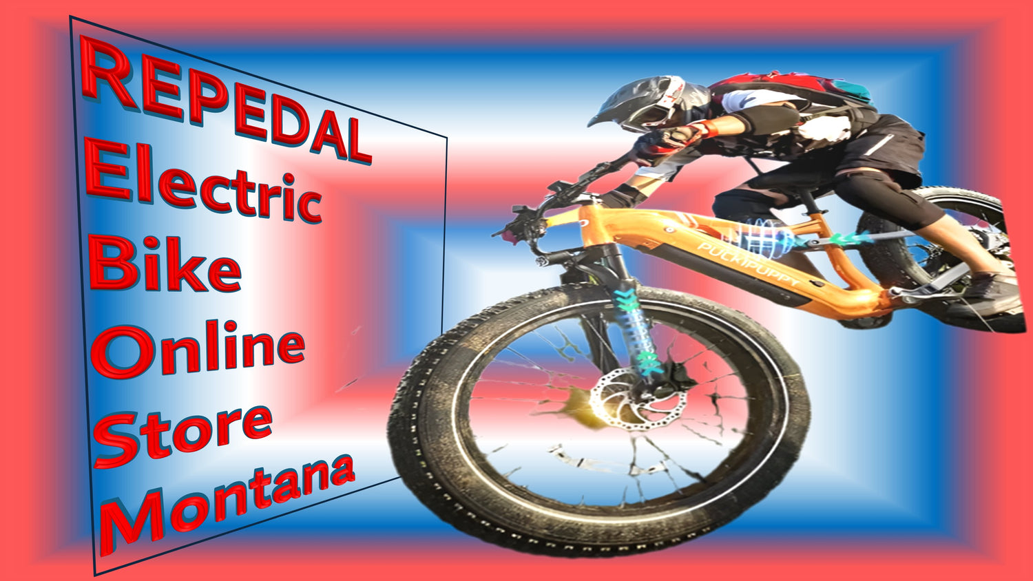 ELECTRIC BIKES IN USA